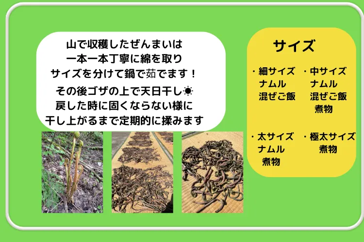 雪深～い⛄新潟南魚沼の山菜　乾燥ぜんまい　中サイズお試し50ｇパック