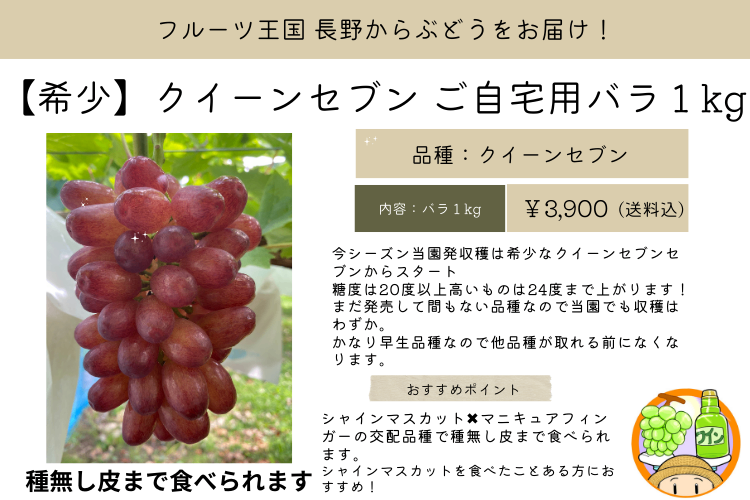 【希少】クイーンセブン（種無し皮まで食べられます） ご自宅用バラ１kg