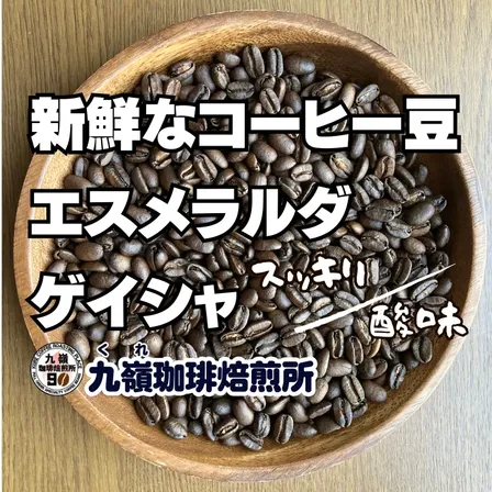 🇵🇦エスメラルダ ゲイシャ 自家焙煎コーヒー豆 100g【焙煎 挽き方思いのまま】