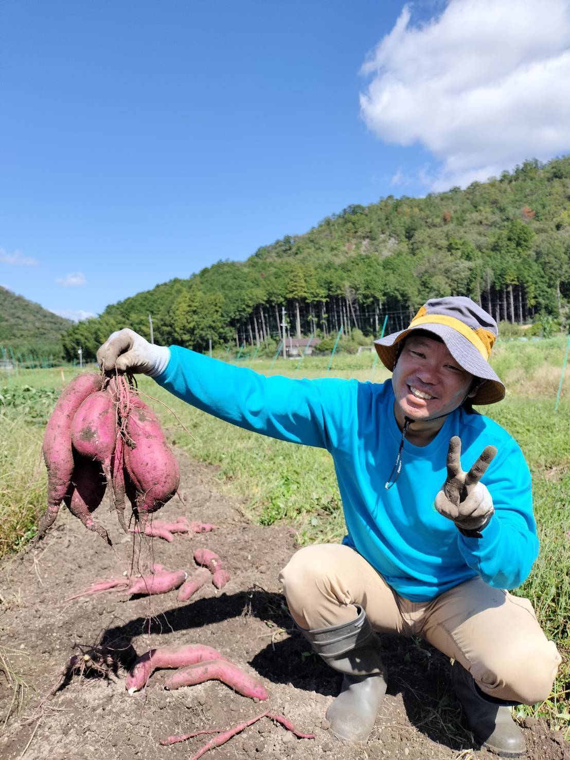 【秋の味覚】予約受付｜ねっとりあま～いさつまいも：紅はるか 3キロ