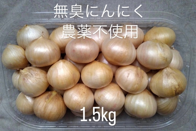 【農薬不使用】無臭にんにく（ジャンボリーキ）