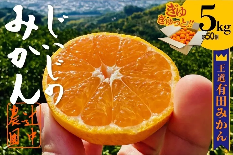 【10月から第一弾】優しい甘さと程よい酸味がたまらないクセになる！極早生みかん５kg（約50個）
