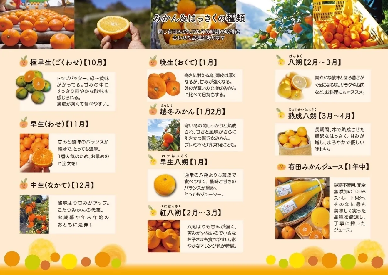 【10月から販売】優しい甘さと程よい酸味がたまらないクセになる！極早生みかん 10kg（約100個）
