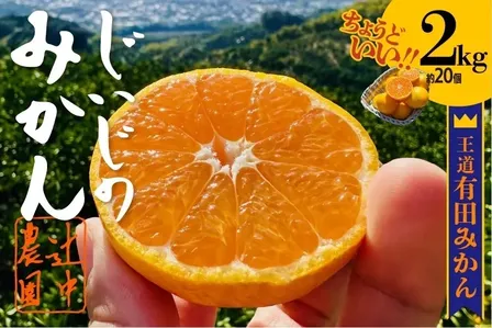 【10月から第一弾】優しい甘さと程よい酸味がたまらないクセになる！極早生みかん２kg（約20個）