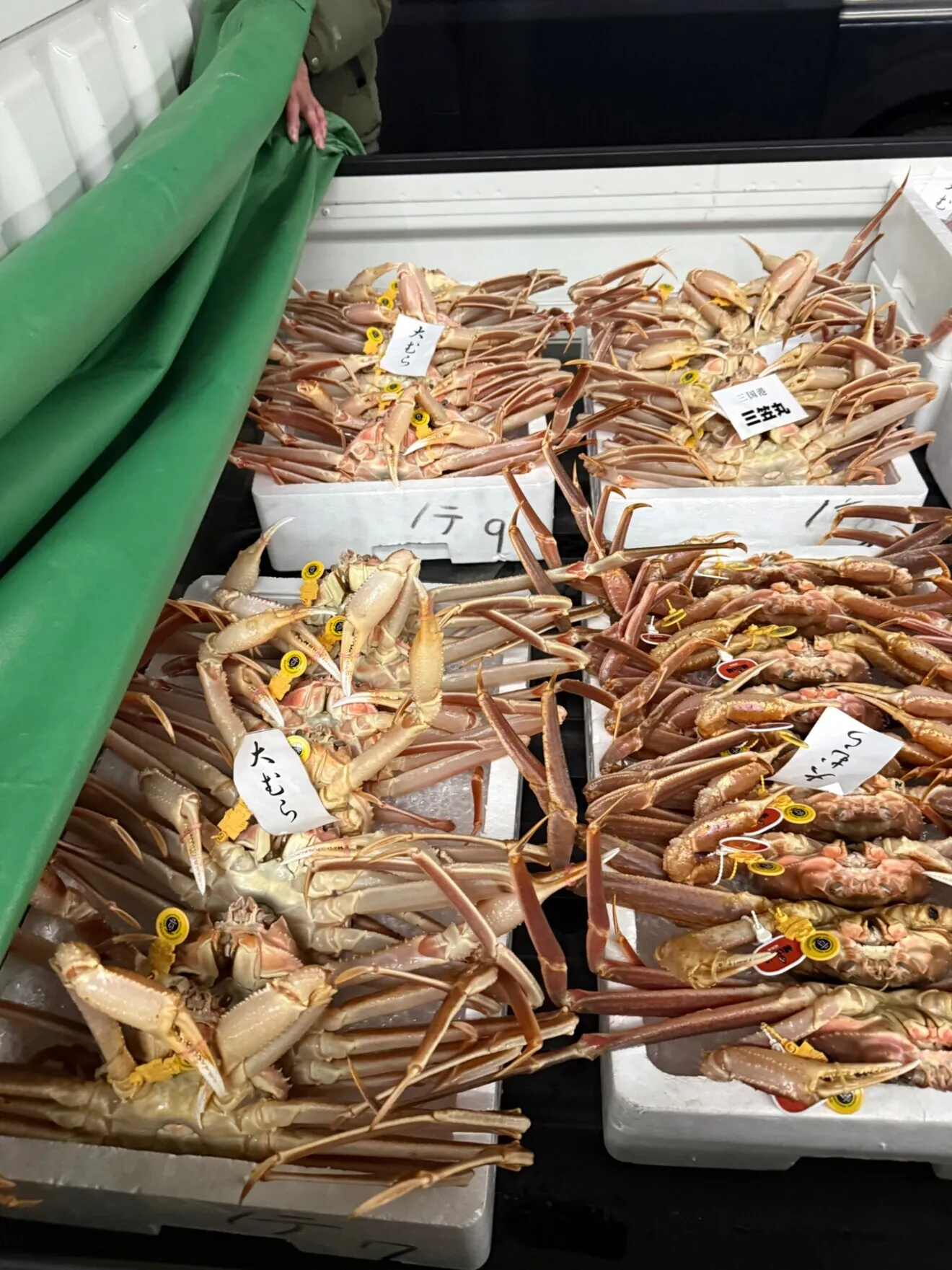大切な方への贈り物、自分へのご褒美でも！皇室献上蟹(越前蟹浜茹で)✖️1(1.1〜1.3キロ)