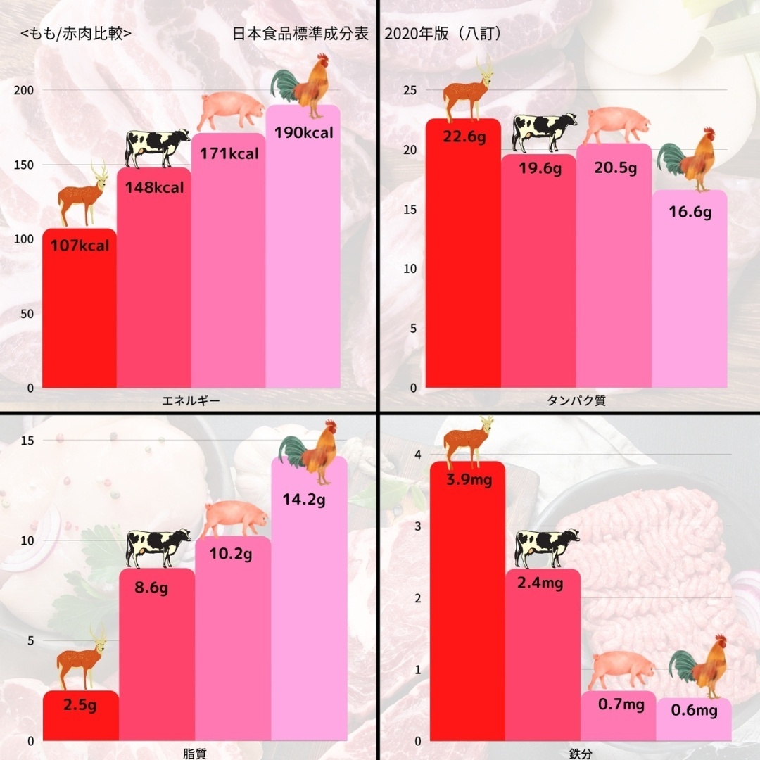 熟成鹿肉【背ロース　約450g】