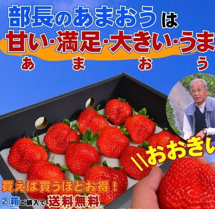【送料込】訳あり特大あまおう9〜15玉入×2箱 苺(いちご)イチゴの王様※北海道・沖縄・離島を除く