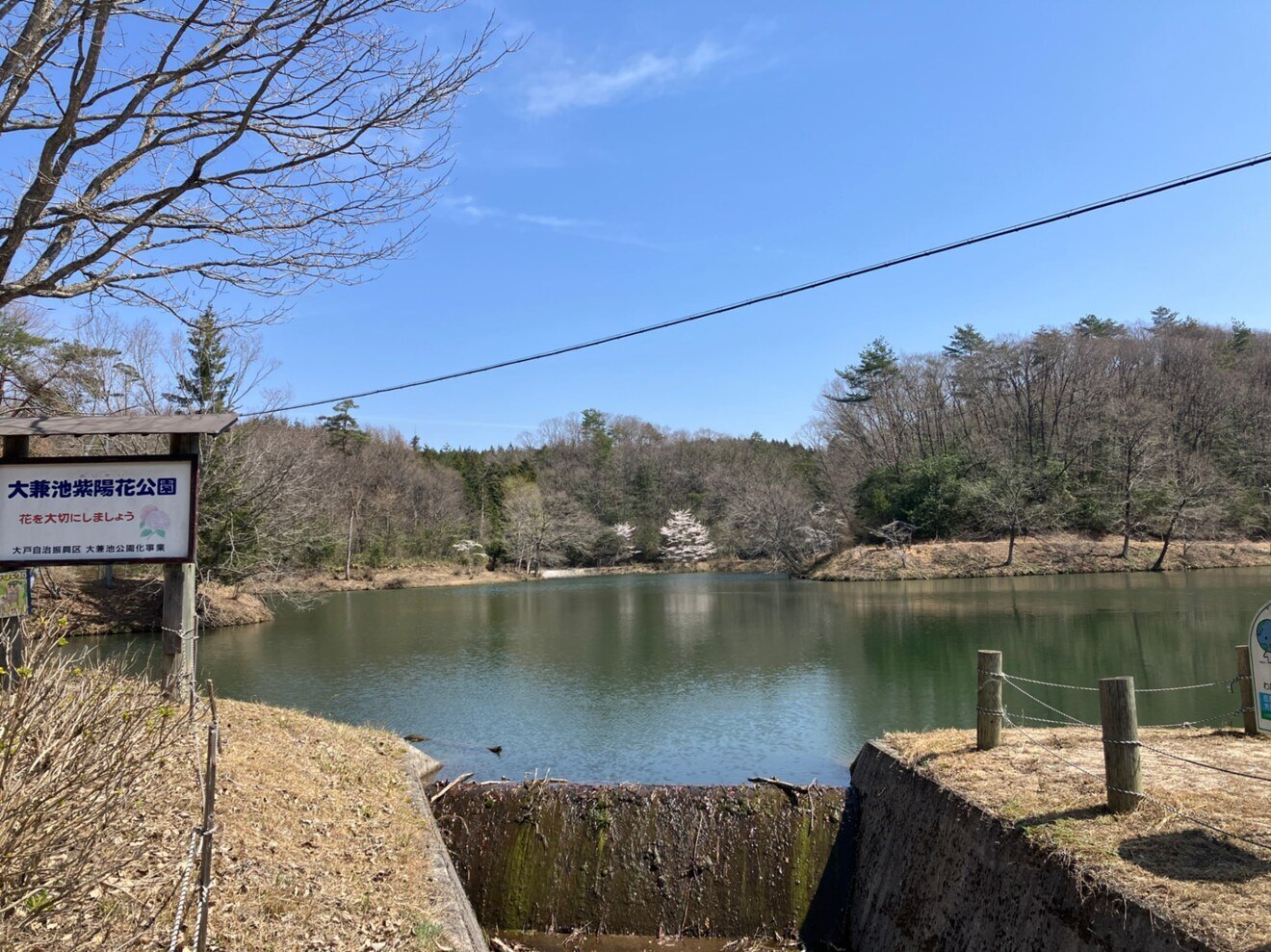 令和7年 新米【色彩選別機】使用　玄米10ｋｇ
コシヒカリ
広島県庄原市西城町栗（産地）