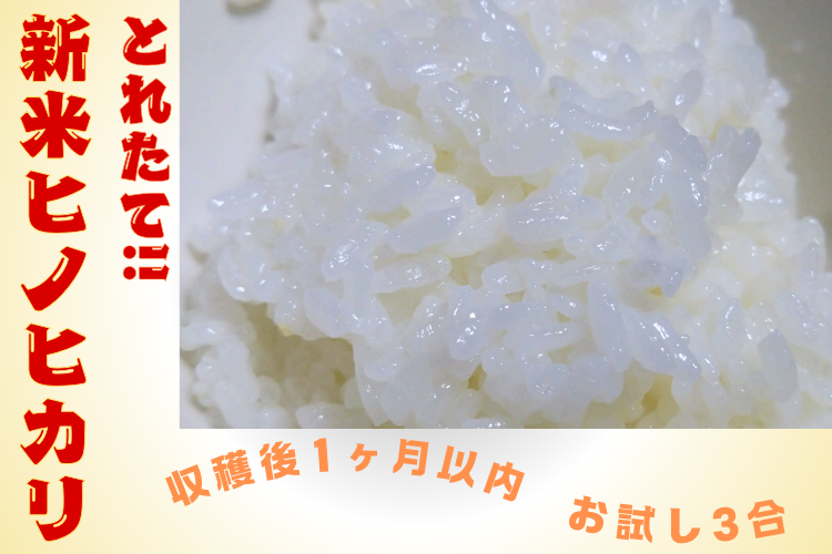 とれたて!!令和６年産[新米]ヒノヒカリ　お試し３合が送料込でワンコイン!販売は10月末まで
