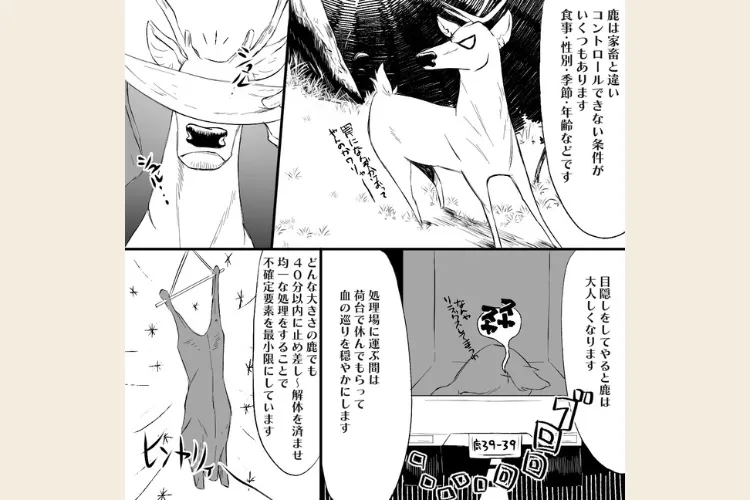 【ペット用】鹿肉ミンチ　個別冷凍タイプ　6パックまで同梱可能