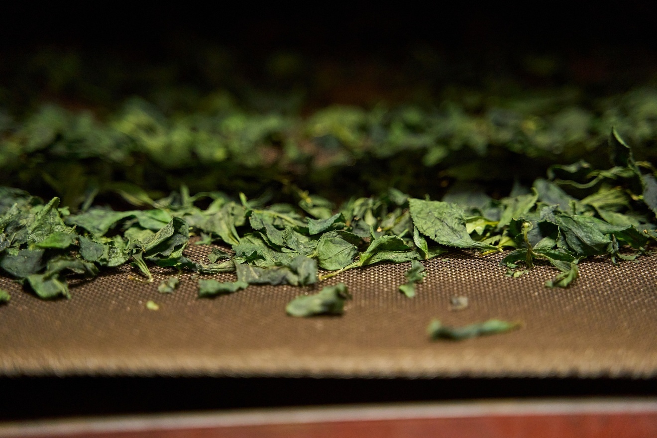 【業務用1kg】京都和束町産のオーガニック抹茶缶（シングルオリジン）