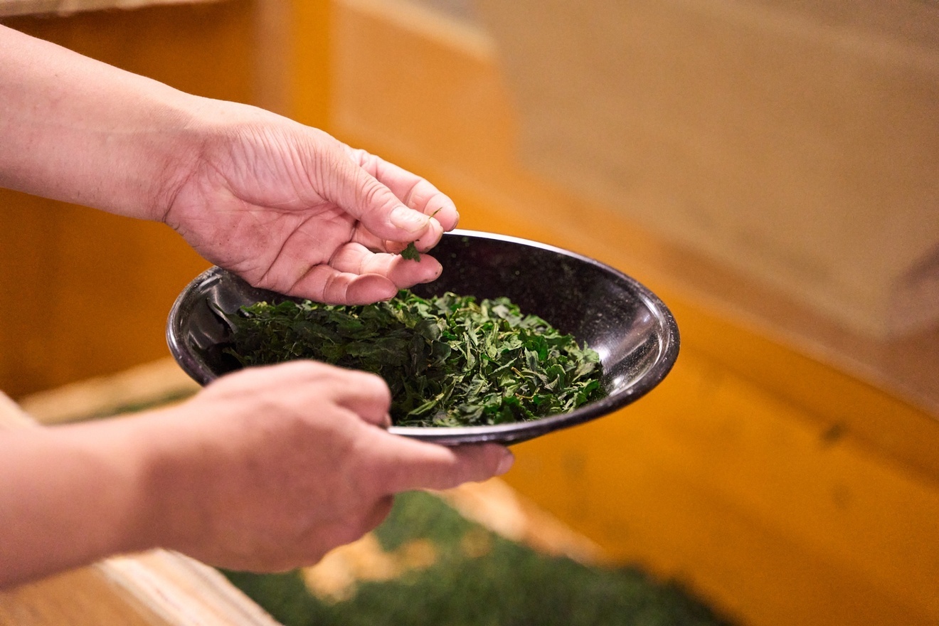 【業務用1kg】京都和束町産のオーガニック抹茶缶（シングルオリジン）