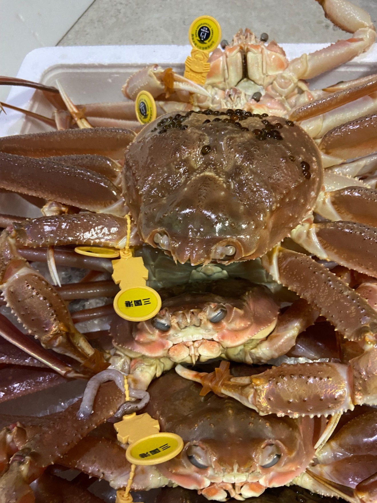 ファーマーズ有難うセール最高級越前蟹（塩茹で）
820g〜950g❎2杯（一本足折れ）3〜４人前
