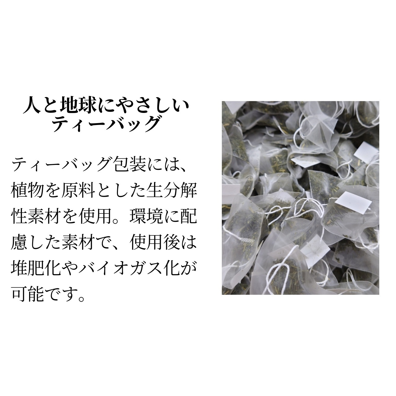 松下製茶 種子島の有機緑茶ティーバッグ『やぶきた』 40g(2g×20袋入り)