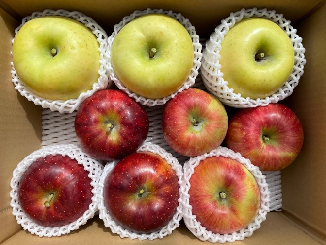 【家庭用】【長野県産りんご3種詰め合わせ】【予約販売】りんご三兄弟　三キロ