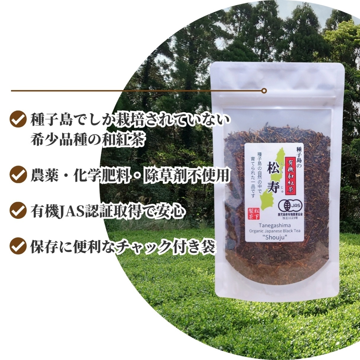 松下製茶 種子島の有機和紅茶『松寿(しょうじゅ)』 茶葉(リーフ) 60g