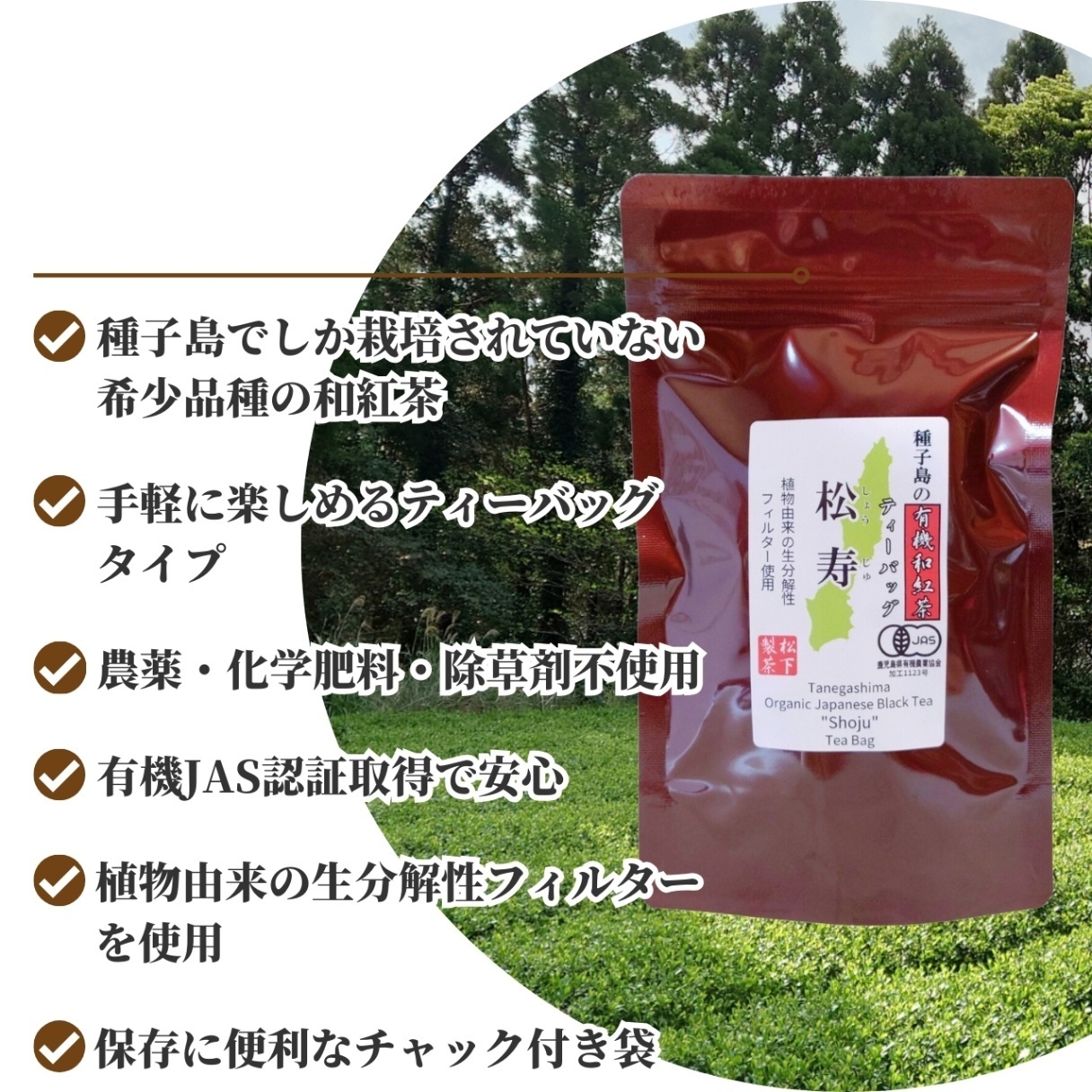 松下製茶 種子島の有機和紅茶ティーバッグ『松寿(しょうじゅ)』 40g(2.5g×16袋入り)