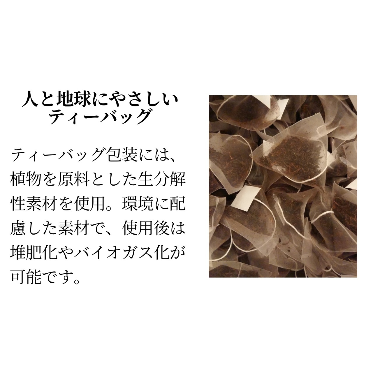 松下製茶 種子島の有機和紅茶ティーバッグ『くりたわせ』 40g(2.5g×16袋入り)