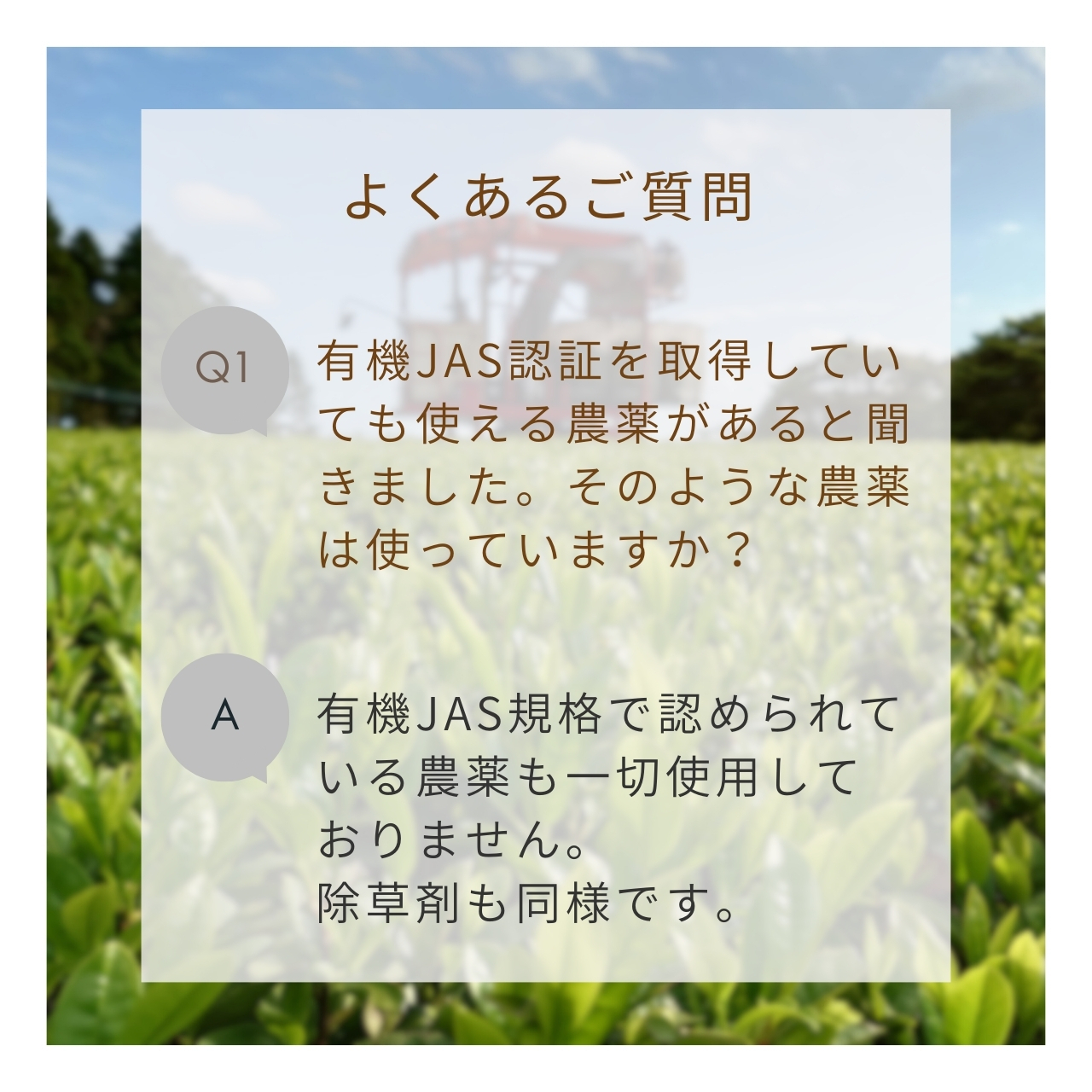 松下製茶 種子島の有機和紅茶ティーバッグ『くりたわせ』 40g(2.5g×16袋入り)