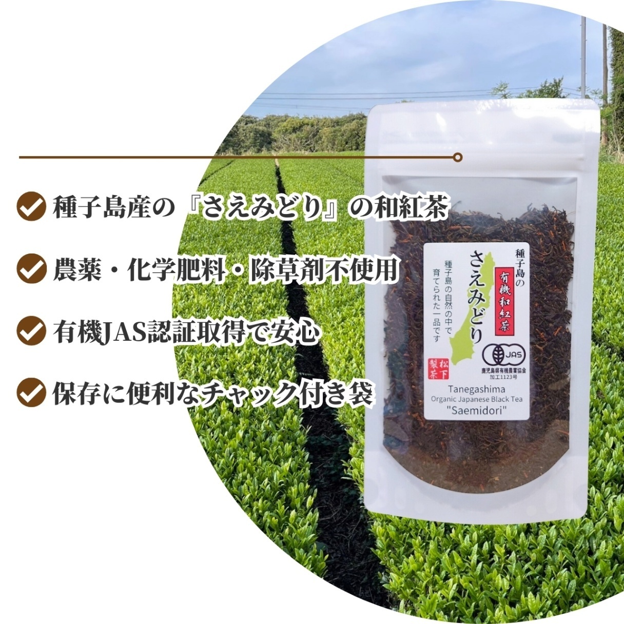 松下製茶 種子島の有機和紅茶『さえみどり』 茶葉(リーフ) 60g