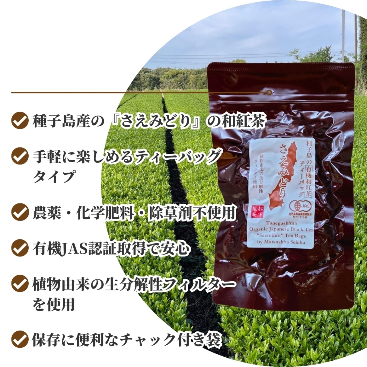 松下製茶 種子島の有機和紅茶ティーバッグ『さえみどり』 40g(2.5g×16袋入り)