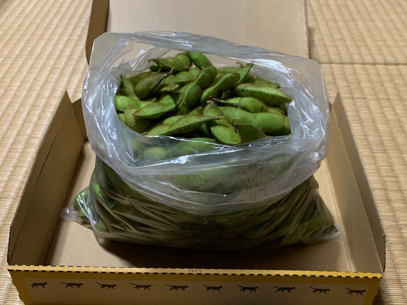 兵庫県産　黒豆枝豆　えだまめ　１kg プラスα  送料無料