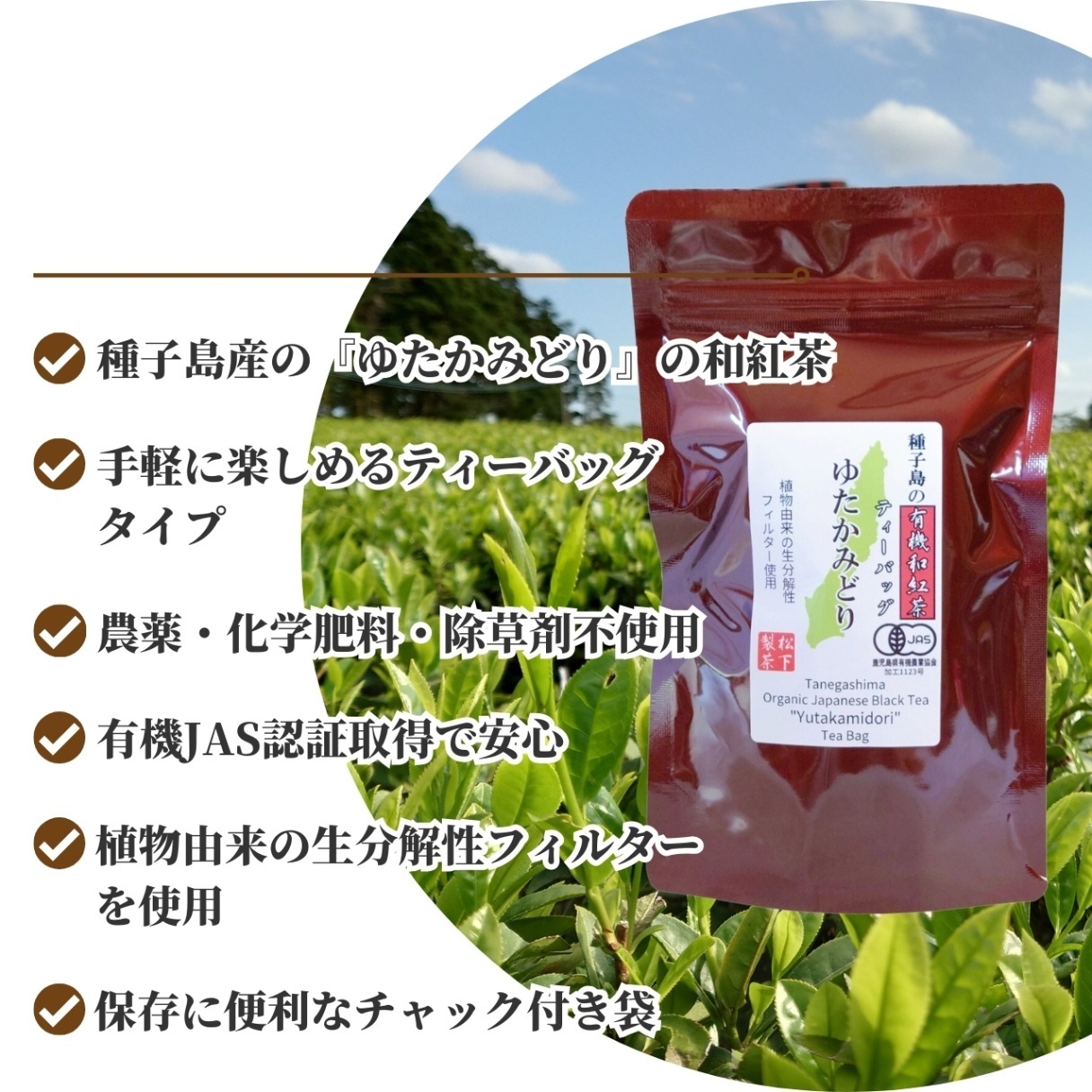 松下製茶 種子島の有機和紅茶ティーバッグ『ゆたかみどり』 40g(2.5g×16袋入り)