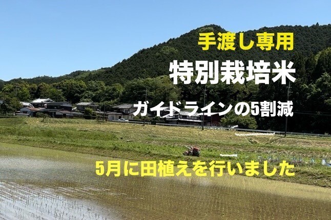 10K【手渡し専用】R7年兵庫県丹波市産コシヒカリ”特別栽培米”少量生産節減対象農薬：当地比５割減
