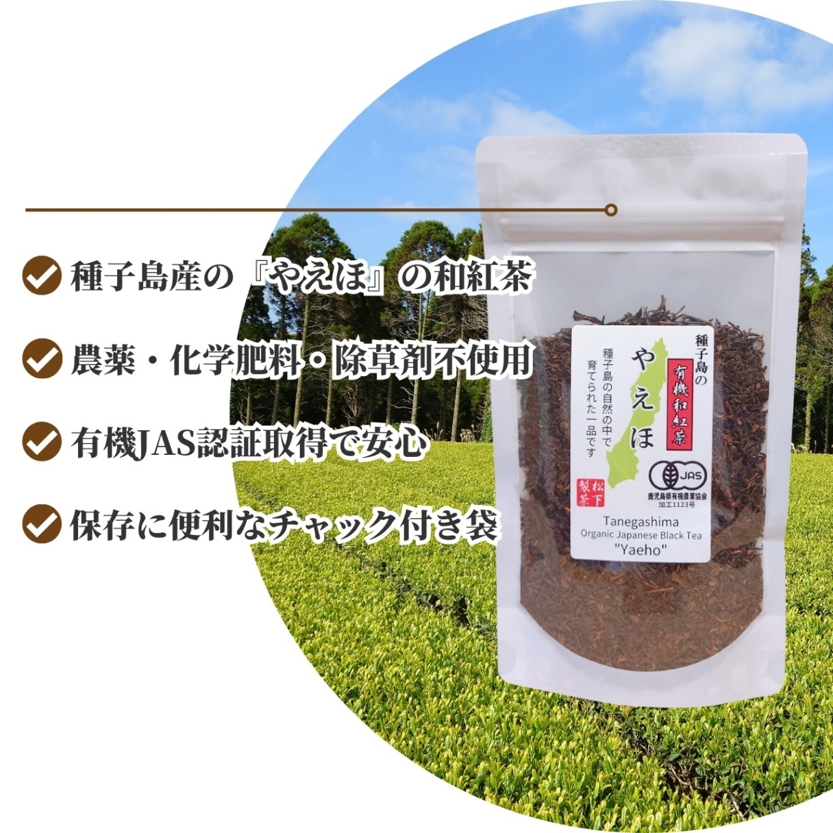 松下製茶 種子島の有機和紅茶『やえほ』 茶葉(リーフ) 60g
