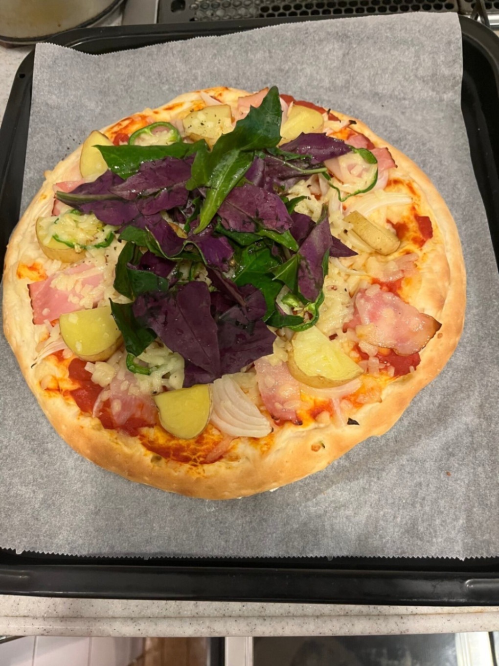 訳あり品　島の宝石、にしゆたか　徳之島産じゃがいも　５ｋｇ　