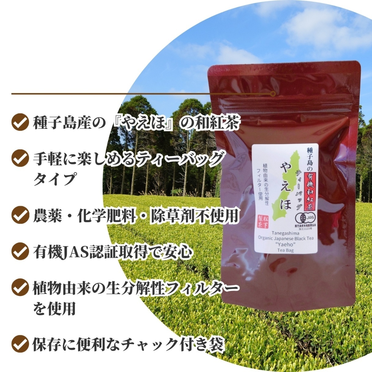 松下製茶 種子島の有機和紅茶ティーバッグ『やえほ』 40g(2.5g×16袋入り)