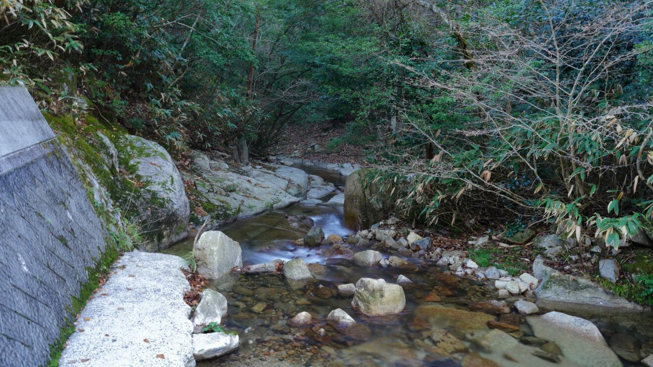 【新米】島根県産 令和7年きぬむすめ　10㎏