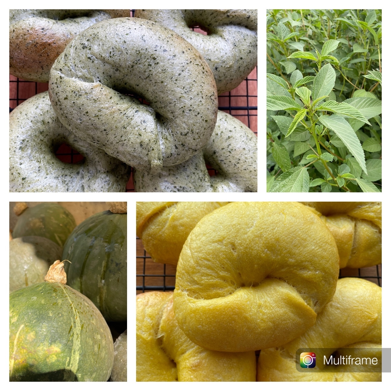 【野菜も摂れる】シンプルベーグル10個セット
（添加物不使用•原材料は100％国産）
