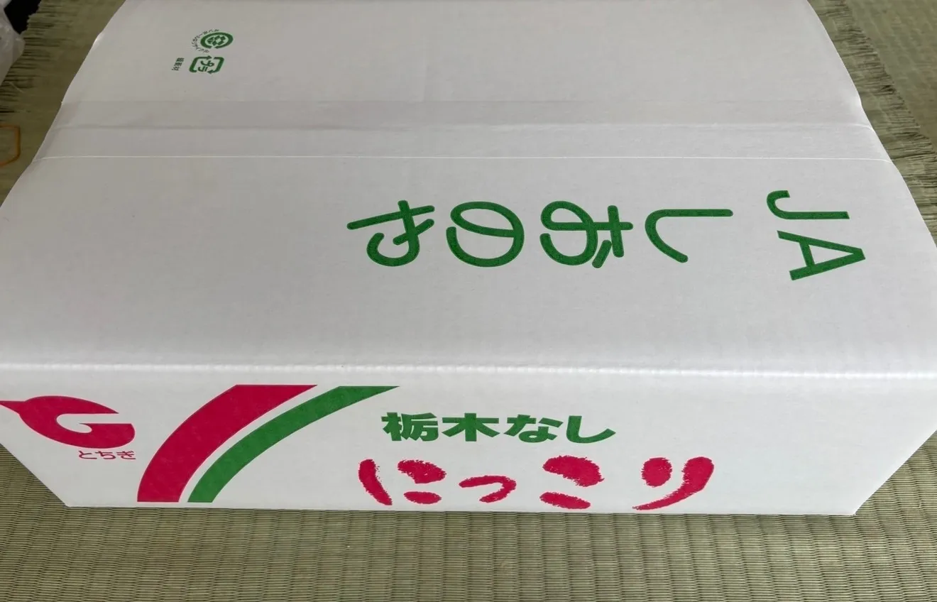 にっこり　梨5kg 【予約受付中】【10月初旬〜中旬頃順次発送予定】【秋の味覚】