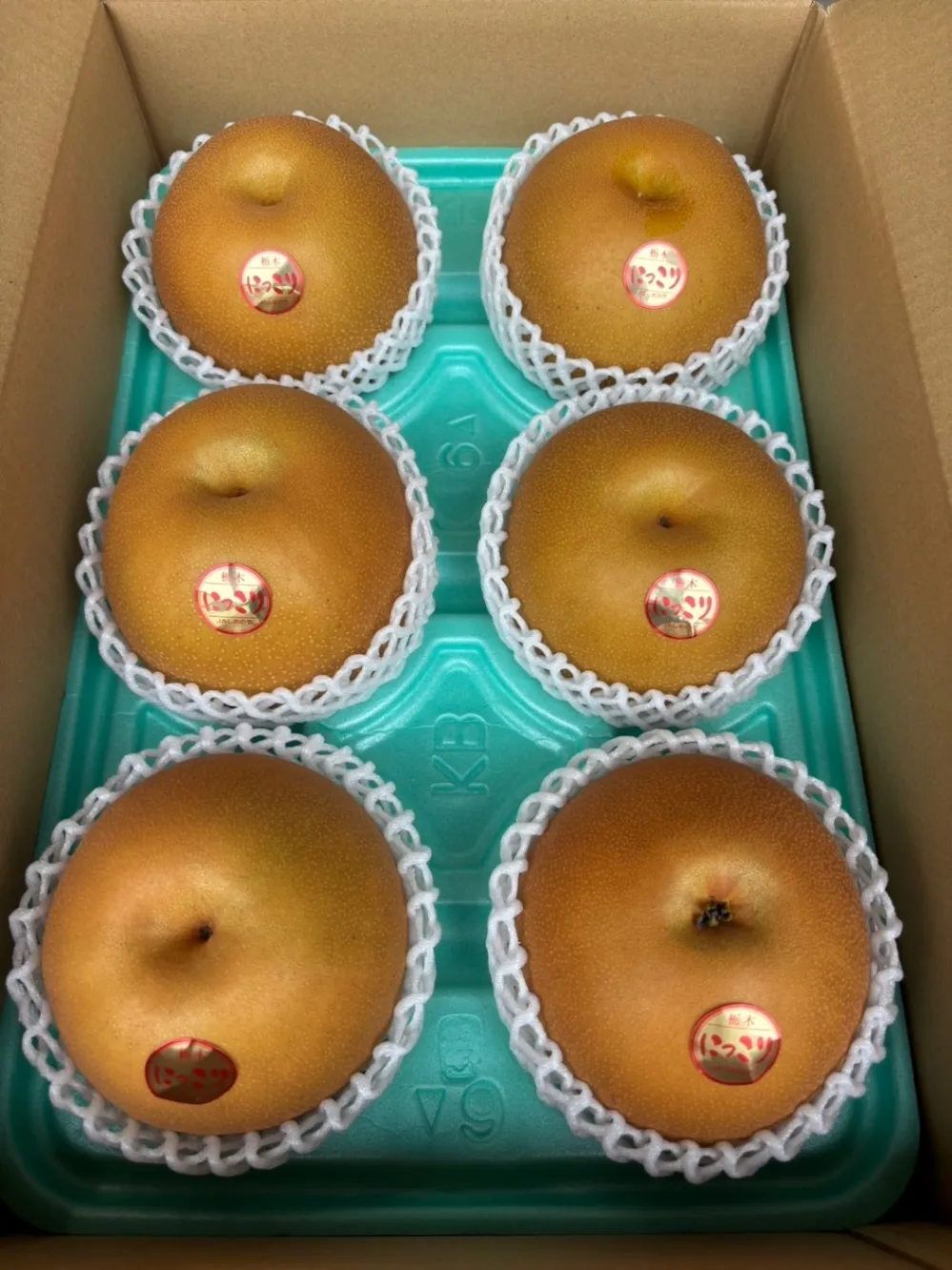 にっこり　梨5kg 【予約受付中】【10月初旬〜中旬頃順次発送予定】【秋の味覚】