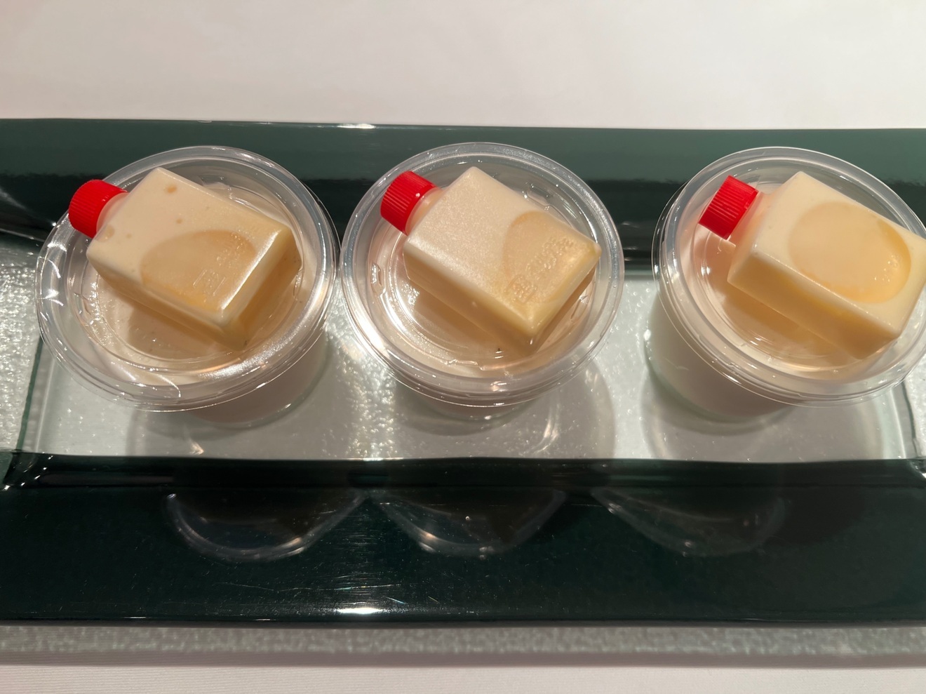 「南国の香り🏝️とろけるココナッツに、やさしいカスタードの余韻」ココナッツのブランマンジェ🥥