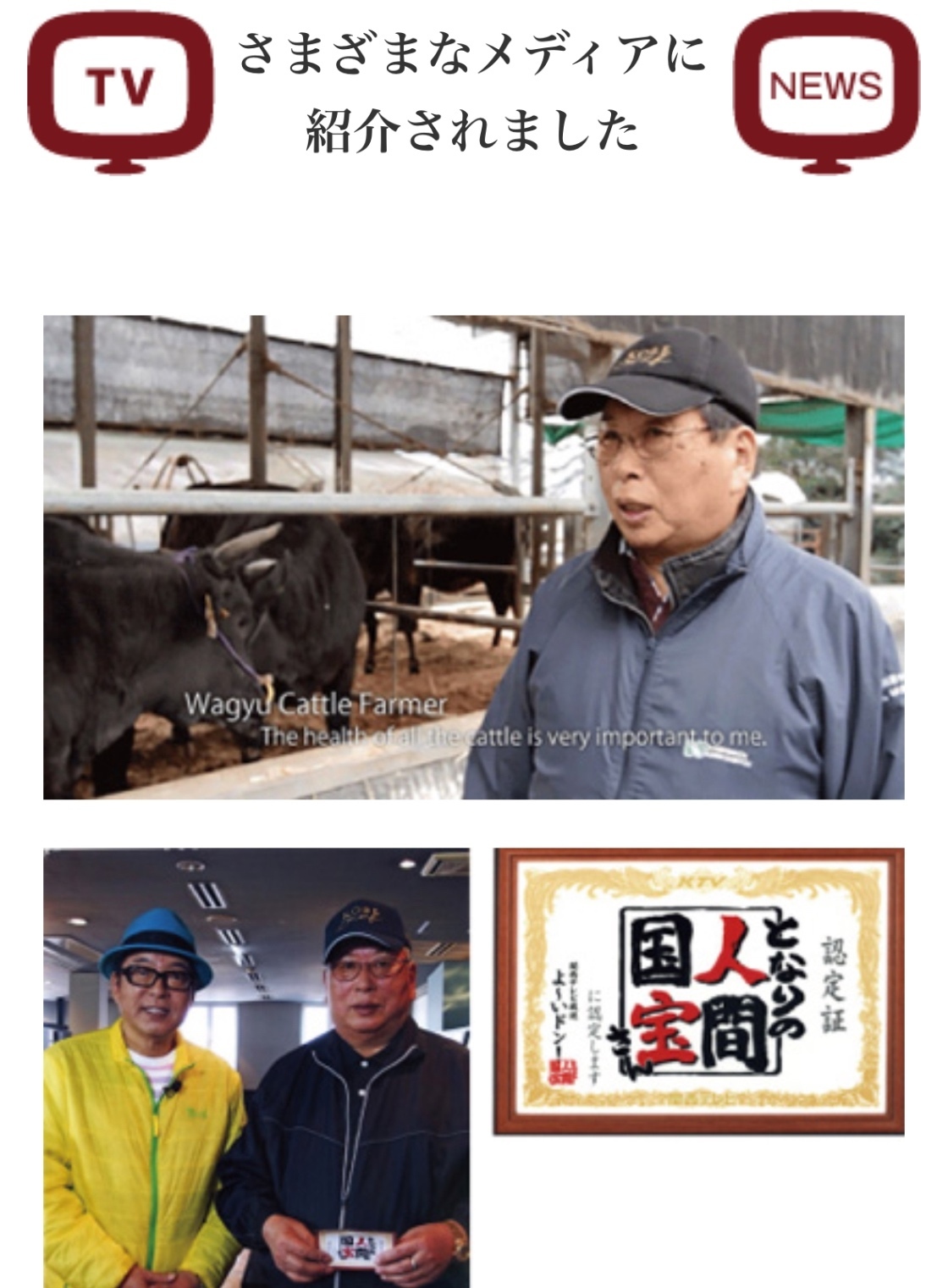 神戸髙見牛レトルトカレー【5個入】