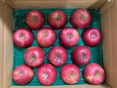 青森りんご　サンふじ約５kg
