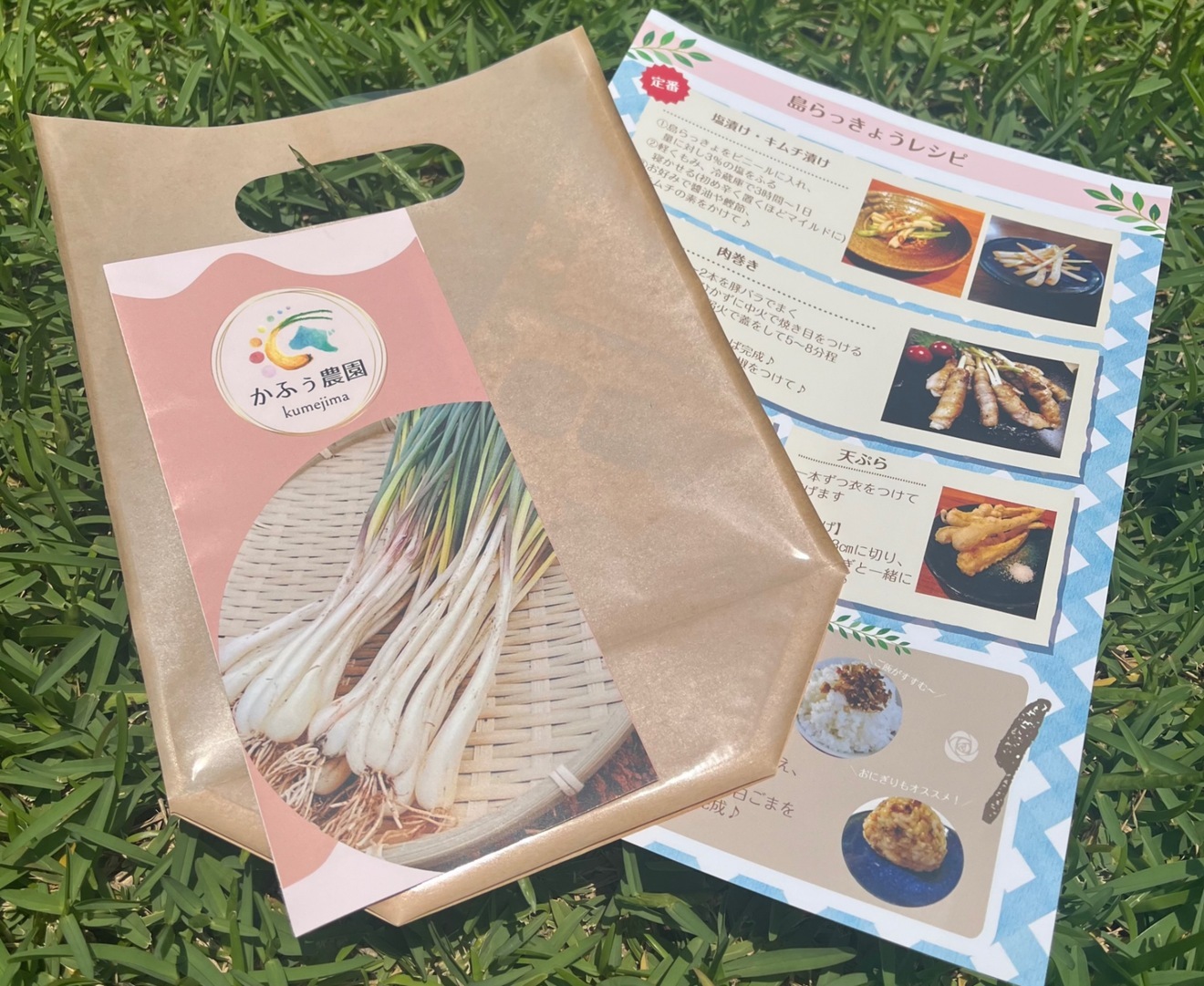 沖縄・久米島産 島らっきょう【1kg】