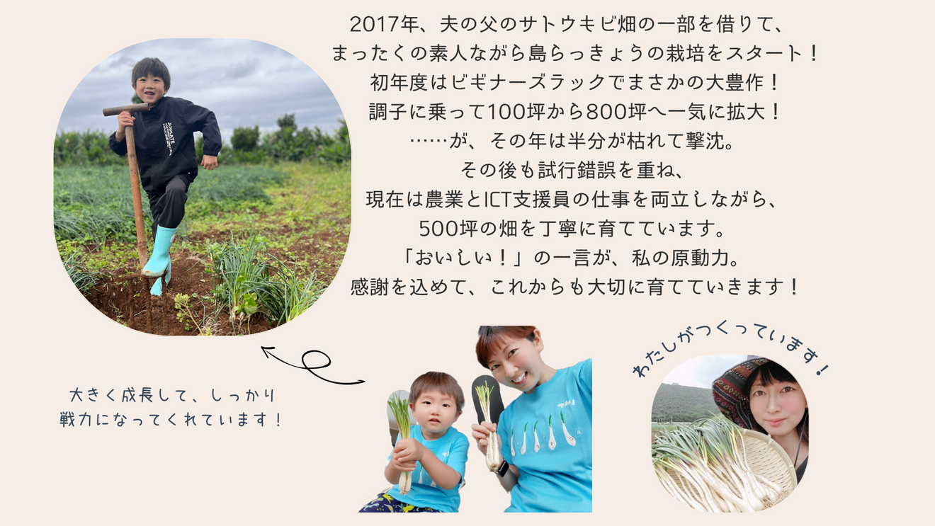 沖縄・久米島産 島らっきょう【1kg】