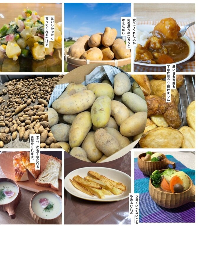 じゃがいも2kg らくらく皮むきメークイン