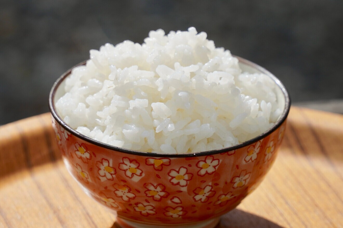 福島県産　新米　天のつぶ　５kg×２袋