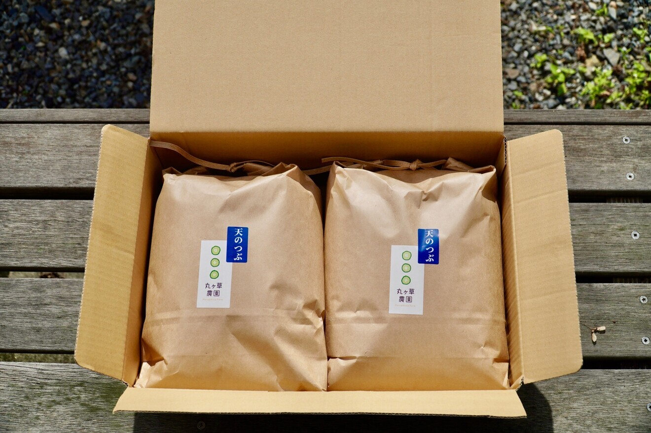 福島県産　新米　天のつぶ　５kg×２袋