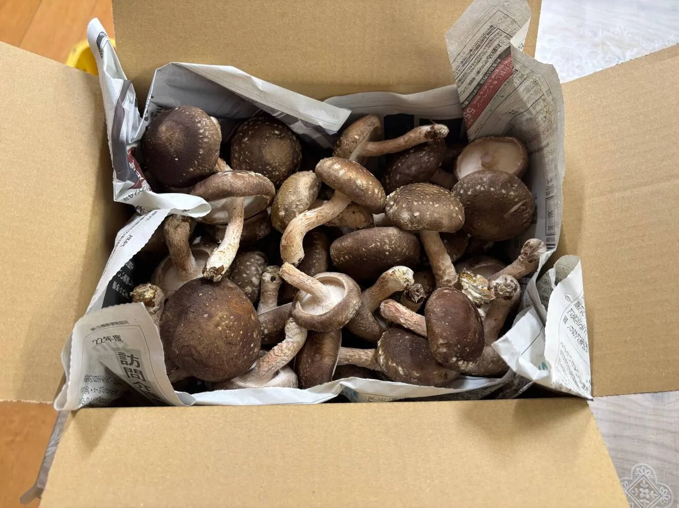 我が家の常備椎茸🍄‍🟫冷蔵庫にはいつもの頼れる君🍄‍🟫