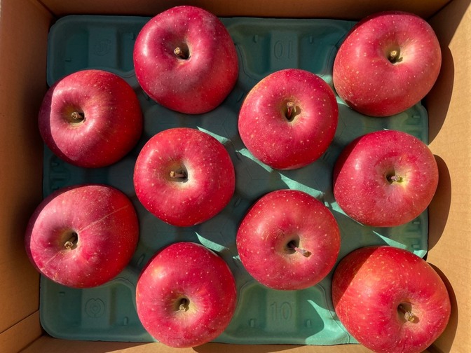 【贈答】【特秀】長野県産ふじ　5キロ