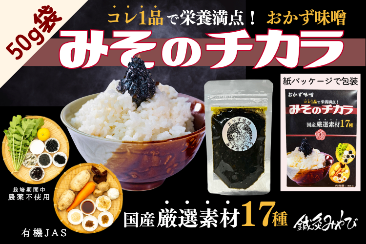 おかず味噌✨プレゼントやお試しに最適✨️【みそのチカラ】50ｇ 国産の厳選素材17種✨国内送料無料