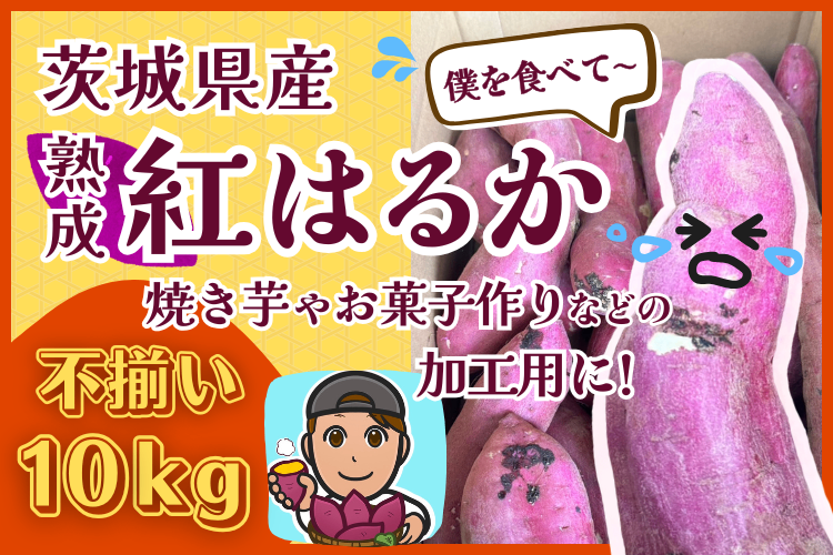 【訳あり品】茨城県産 さつまいも 紅はるか サイズいろいろ 10kg 基本送料込みリベポ歓迎在庫限り