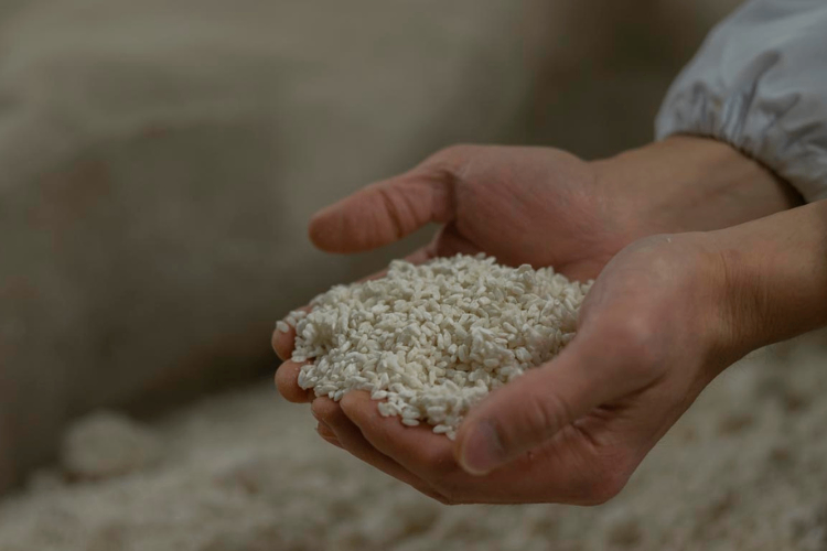 【送料無料】生米こうじ（1.6kg）｜富山県産米100％ | 黒部の名水つき
