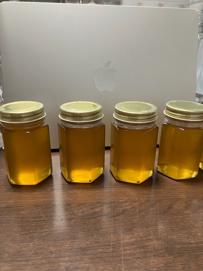 日本みつばちのハチミツ 9/13採蜜