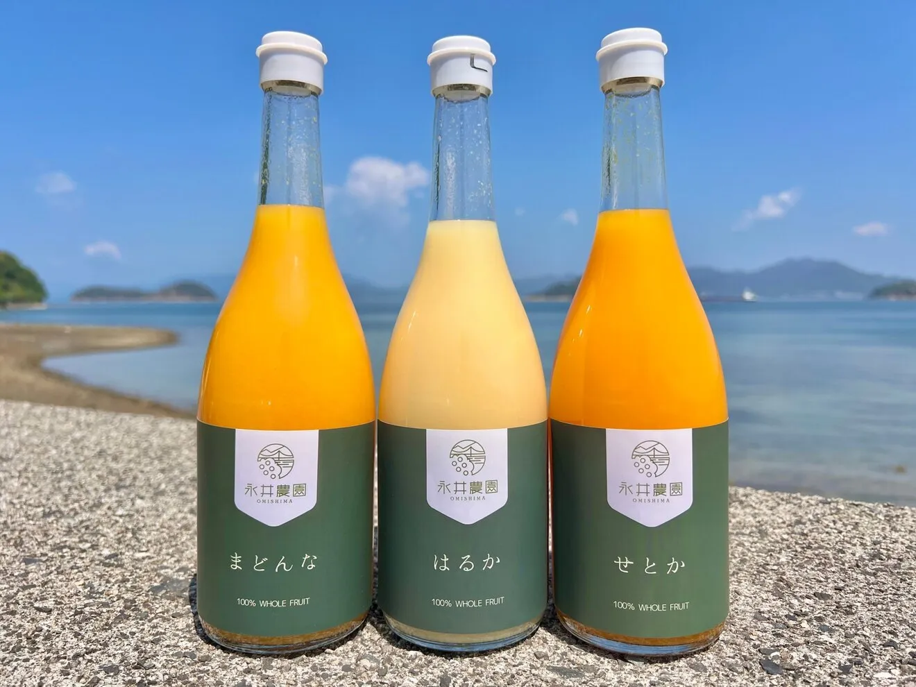 みかんジュース3種セット